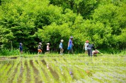 信州里山トラスト「軽井沢」田植え～稲刈り体験２０１９