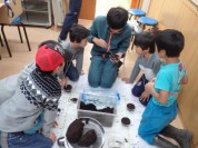軽井沢昆虫クラブ活動　2018年3月18日(日)　クワガタの飼育教室