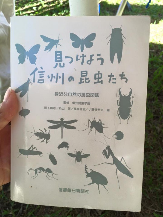 第3回、軽井沢昆虫クラブ