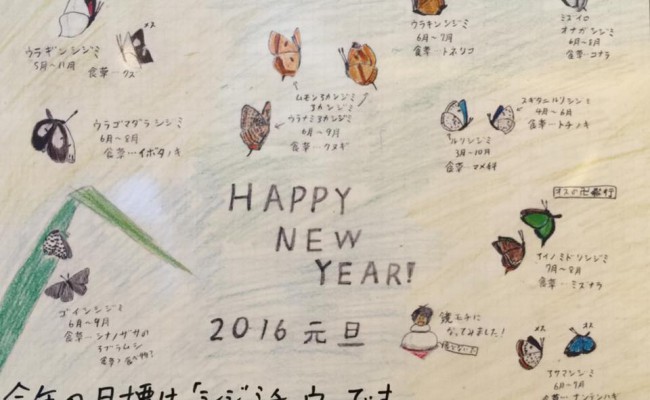  » HAPPY NEW YEAR!2016