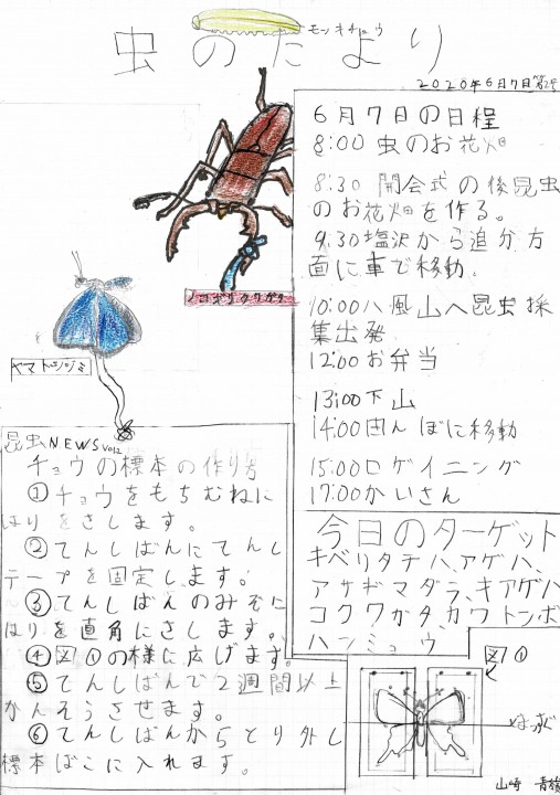 第33回　軽井沢昆虫クラブ　後編　茂沢－八風山林道＆登山道調査　2020_No.2
