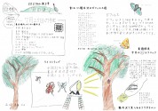 第41回　軽井沢昆虫クラブ定例会　2021年7月25日（日）